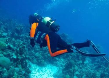 “小海豚”，游恣了！崂山区开启“小海豚训练营”，提升学生游泳技能